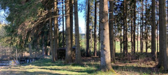 Grundstück in Sallingberg, Austria 4913m², Nr. 244200 8