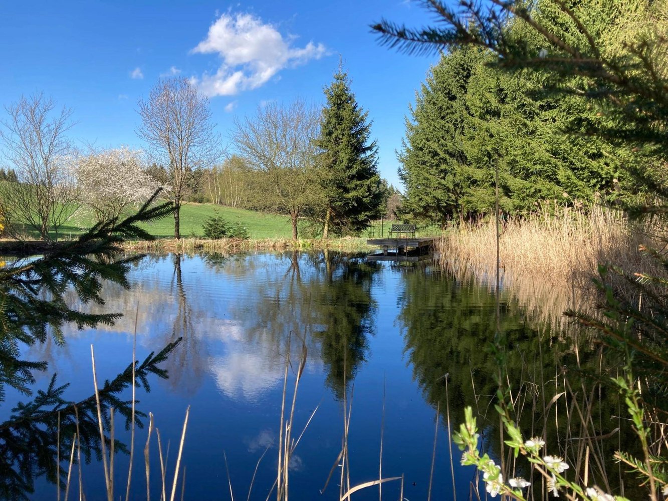 Grundstück in Sallingberg, Austria 4913m², Nr. 244200