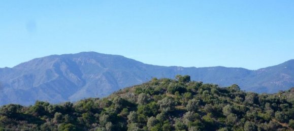  Land in Estepona, Spain No. 25372 4