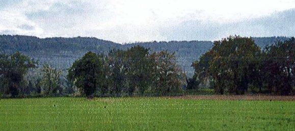 1 room Land in Orte, Italy No. 73969 12