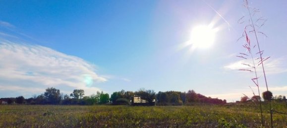 13 rooms House in Gropello Cairoli, Italy No. 157512 23