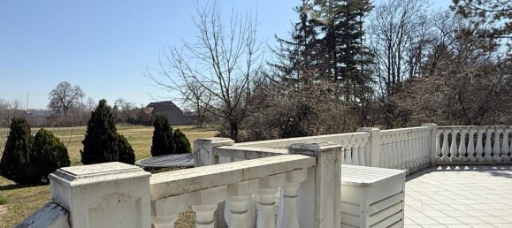 7-Zimmer Haus in Gänserndorf, Austria, Nr. 128909 11