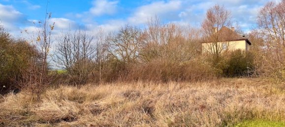 Terreno en Vorpommern-Greifswald, Germany No. 212419 2