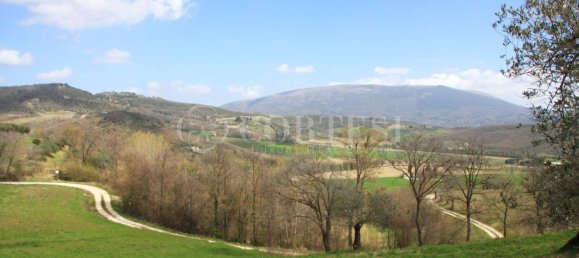 5غرفة عقار تجاري في Corciano, Italy رقم 353389 13