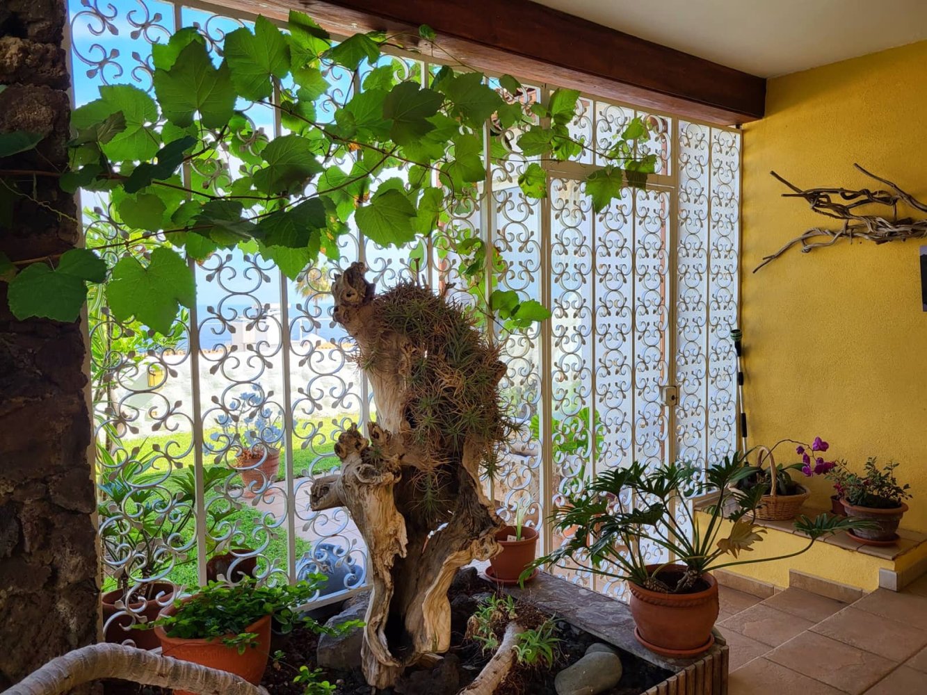 2 غرف نوم منزل في Los Realejos, Spain رقم 265040