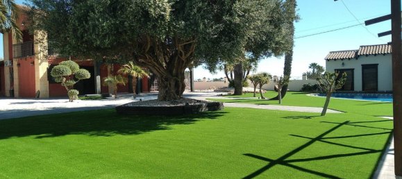 8 bedrooms Villa in Catral, Spain No. 9156 26