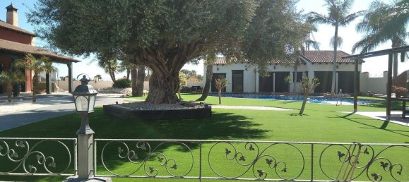 8 bedrooms Villa in Catral, Spain No. 9156 24