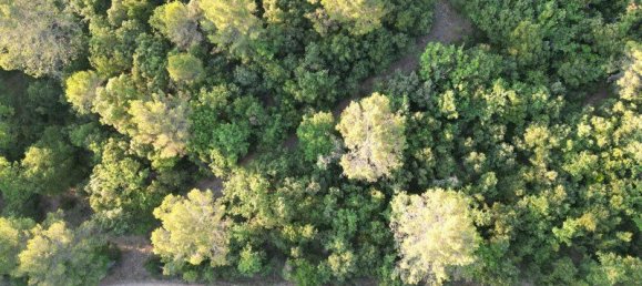 Terreno em Signes, France N.º 325975 3