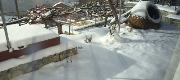 2 chambres Villa à Limassol, Cyprus No. 7122 14