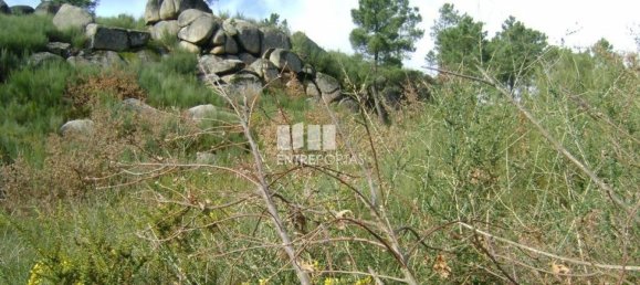 5810m² Land in Marco de Canaveses, Portugal No. 56167 3