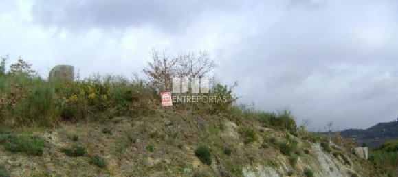 5810m² Land in Marco de Canaveses, Portugal No. 56167 6