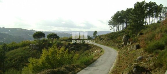 5810m² Land in Marco de Canaveses, Portugal No. 56167 4