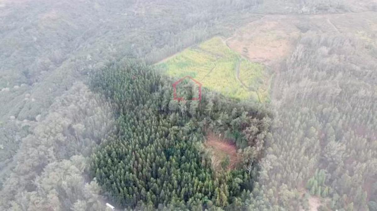  Land in Porto Moniz, Portugal No. 2055