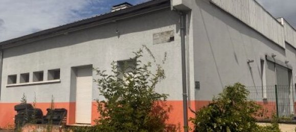 Офис 160м² в Брёнстат-Диденайм, Франция № 224606 14