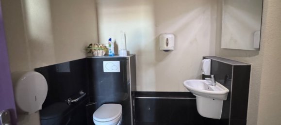 Офис 160м² в Брёнстат-Диденайм, Франция № 224606 13