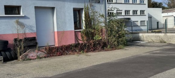 Офис 160м² в Брёнстат-Диденайм, Франция № 224606 9