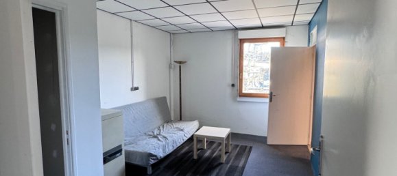 Офис 160м² в Брёнстат-Диденайм, Франция № 224606 12