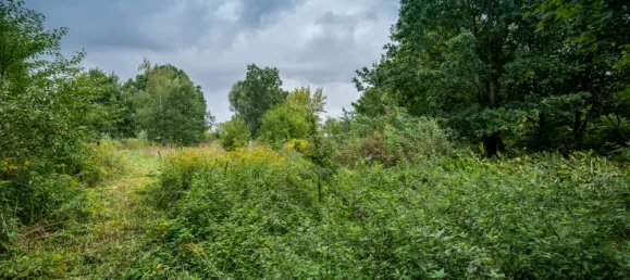 Grundstück in Barnim, Germany, Nr. 32922 6