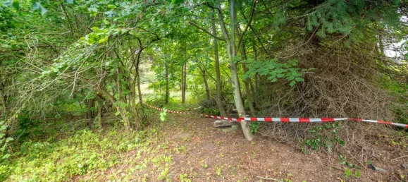 Grundstück in Barnim, Germany, Nr. 32922 12