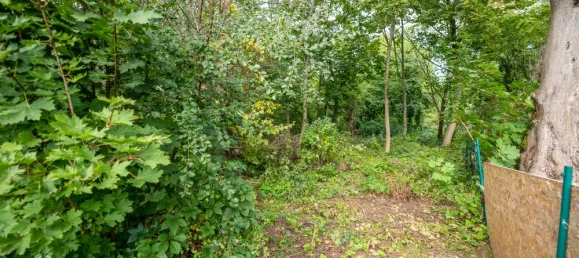 Grundstück in Barnim, Germany, Nr. 32922 11