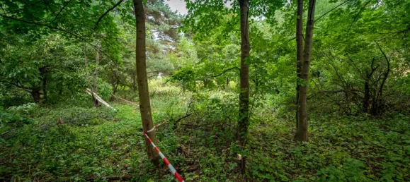 Grundstück in Barnim, Germany, Nr. 32922 9