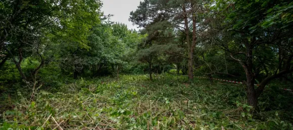 Grundstück in Barnim, Germany, Nr. 32922 14