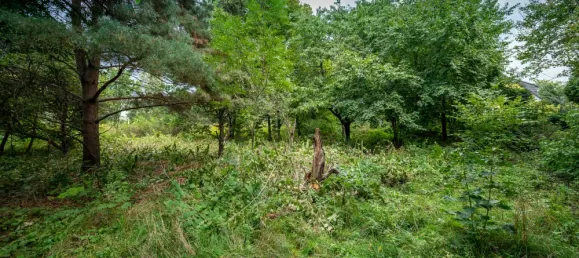 Grundstück in Barnim, Germany, Nr. 32922 8