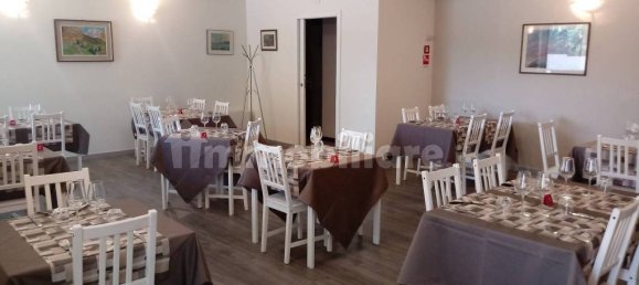 1 room Commercial property in Lucca, Italy No. 211543 6