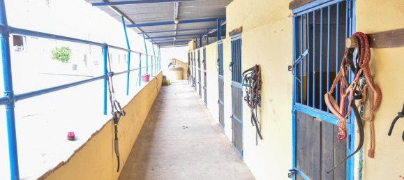 6 chambres Maison à Mijas, Spain No. 85553 26