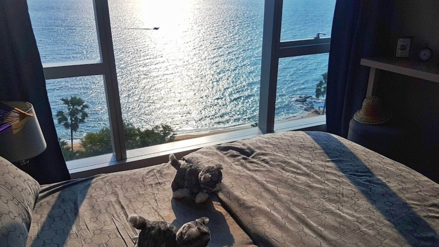 1 Schlafzimmer Eigentumswohnung in The Palm Wongamat Beach Pattaya, Thailand, Nr. 29177