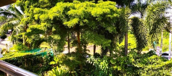 5 bedrooms Cafe / restaurant in Pattaya, Thailand No. 11672 19