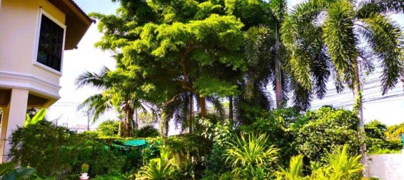 5 bedrooms Cafe / restaurant in Pattaya, Thailand No. 11672 30