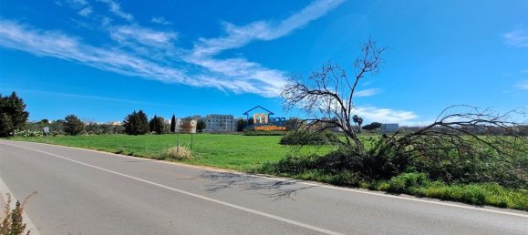 Terreno en Alezio, Italy 13000 m² No. 133161 4