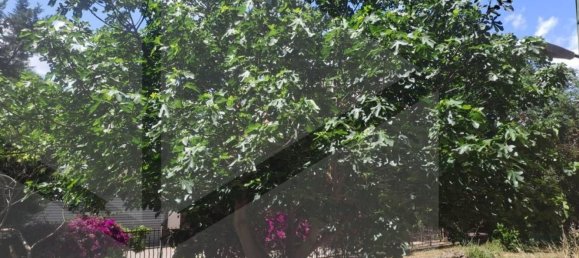 4 rooms Apartment in San Severo, Italy No. 25952 16