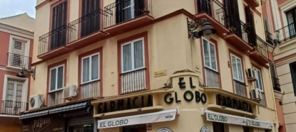 450m² Building in Malaga, Spain No. 153862 53