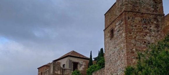 450m² Building in Malaga, Spain No. 153862 2