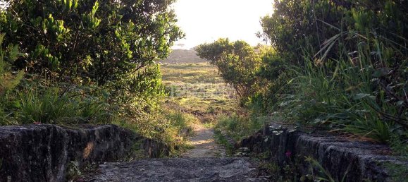 4 chambres Villa à Viana do Castelo, Portugal No. 20650 43
