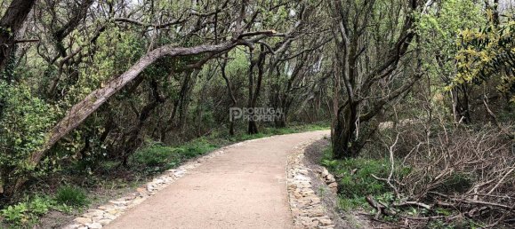 4 chambres Villa à Viana do Castelo, Portugal No. 20650 42