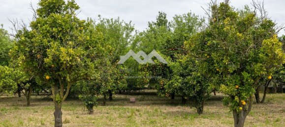 9 Schlafzimmer Haus in Santo Tirso, Portugal, Nr. 47758 21