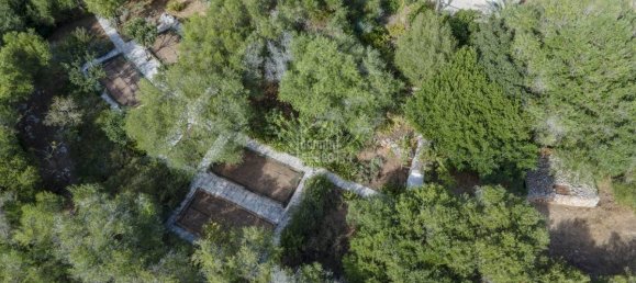 7 غرف نوم فيلا في El Migjorn Gran, Spain رقم 1466 5