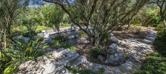 7 غرف نوم فيلا في El Migjorn Gran, Spain رقم 1466 16