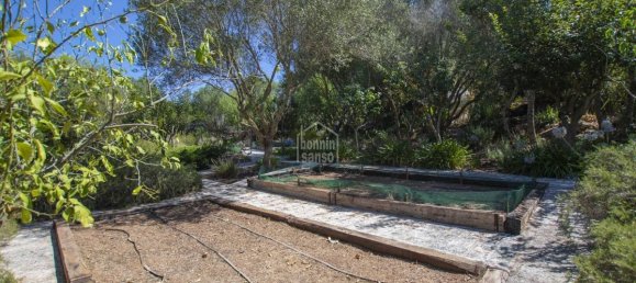 7 غرف نوم فيلا في El Migjorn Gran, Spain رقم 1466 19