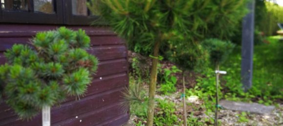 Casa de 3 divisões em Oftering, Austria N.º 216548 4