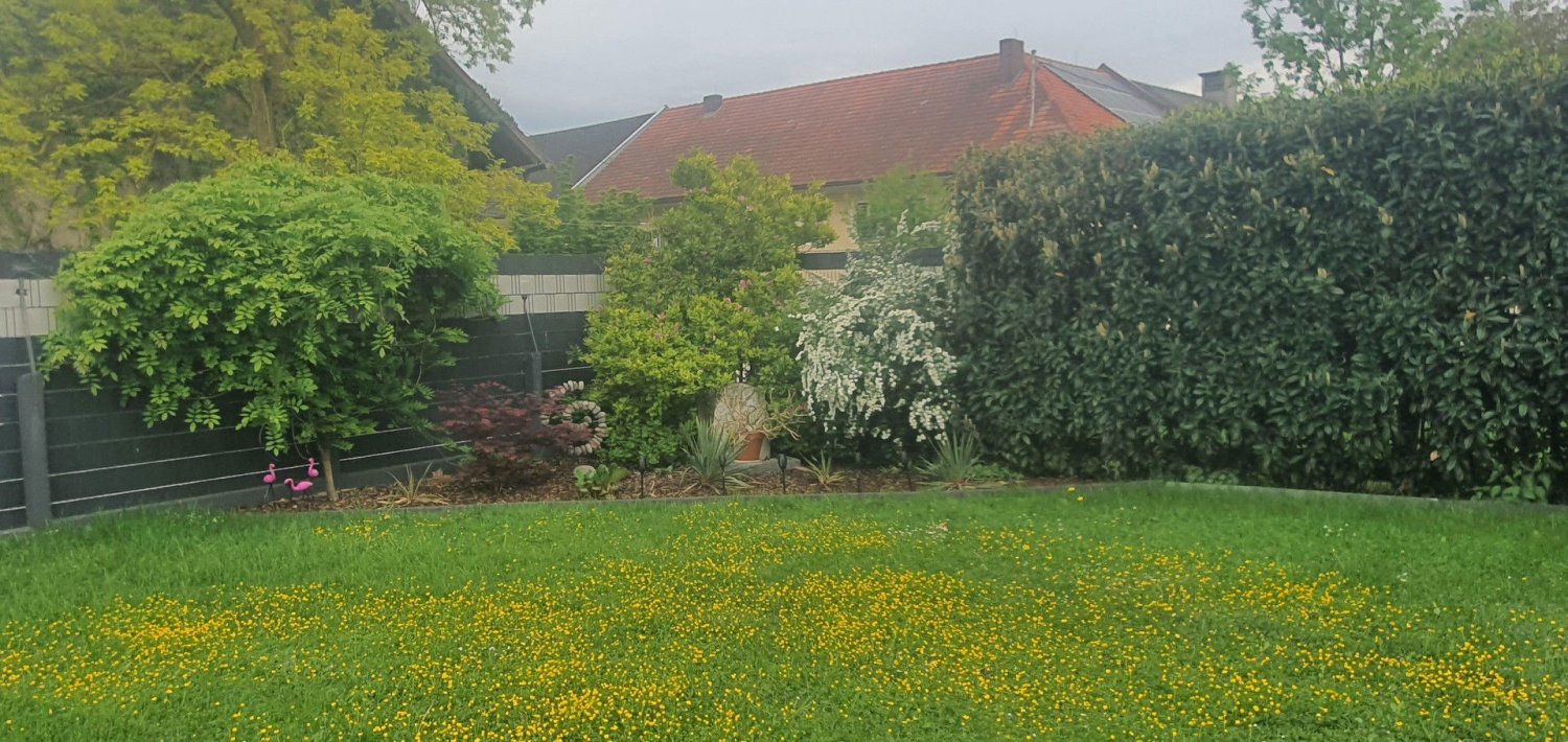 Casa de 3 divisões em Oftering, Austria N.º 216548