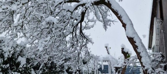 Casa de 3 divisões em Oftering, Austria N.º 216548 17