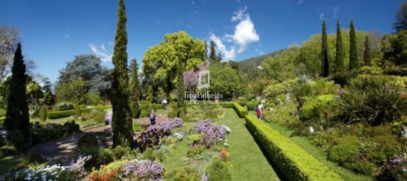 4 bedrooms Villa in Funchal, Portugal No. 174875 10