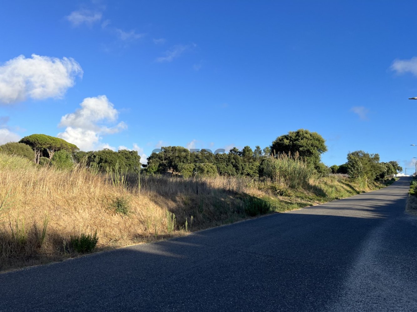 Grundstück in Caldas da Rainha, Portugal, Nr. 281073