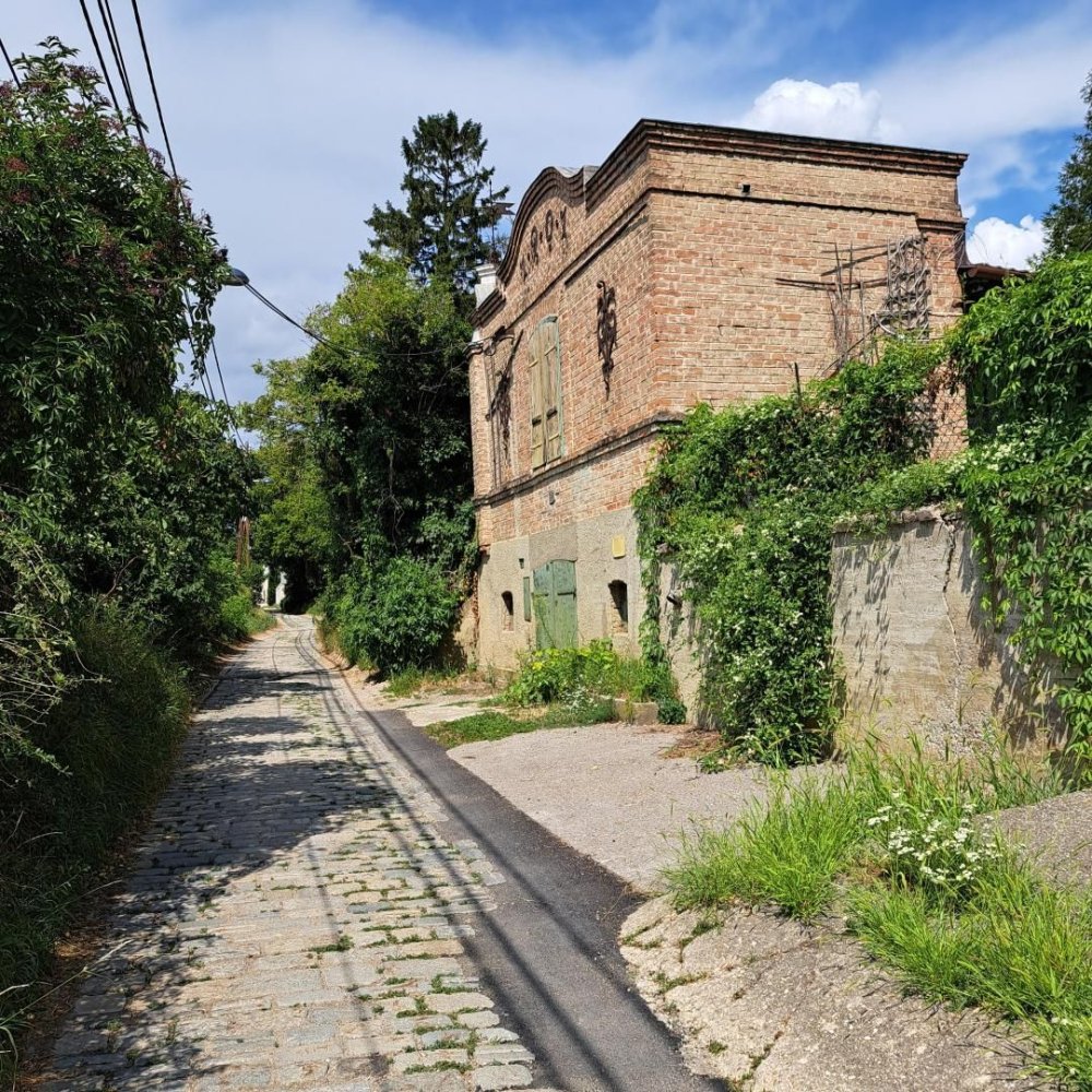Terreno em Langenzersdorf, Austria N.º 105649