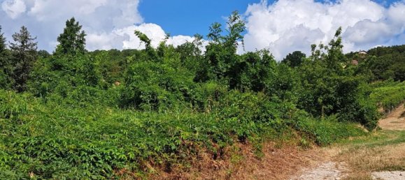 Terreno em Langenzersdorf, Austria N.º 105649 2