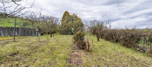 4 Schlafzimmer Haus in Ronfe, Portugal, Nr. 180446 41